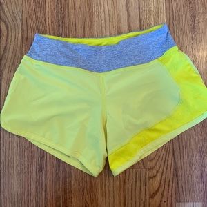 rabbit catch me if you can shorts